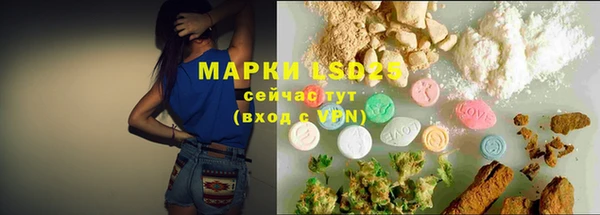 ешки Богданович
