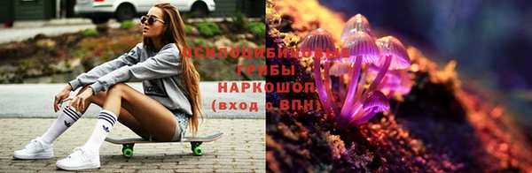 ешки Богданович
