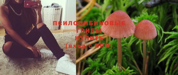 ешки Богданович