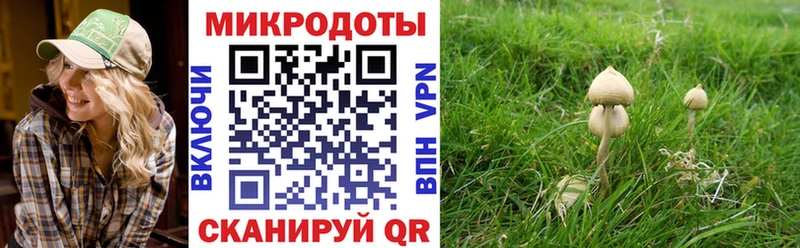 Галлюциногенные грибы мухоморы Купить закладки Малоярославец